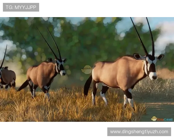 好望角线上娱乐提供安全稳定的游戏环境，保障玩家的每一次娱乐体验